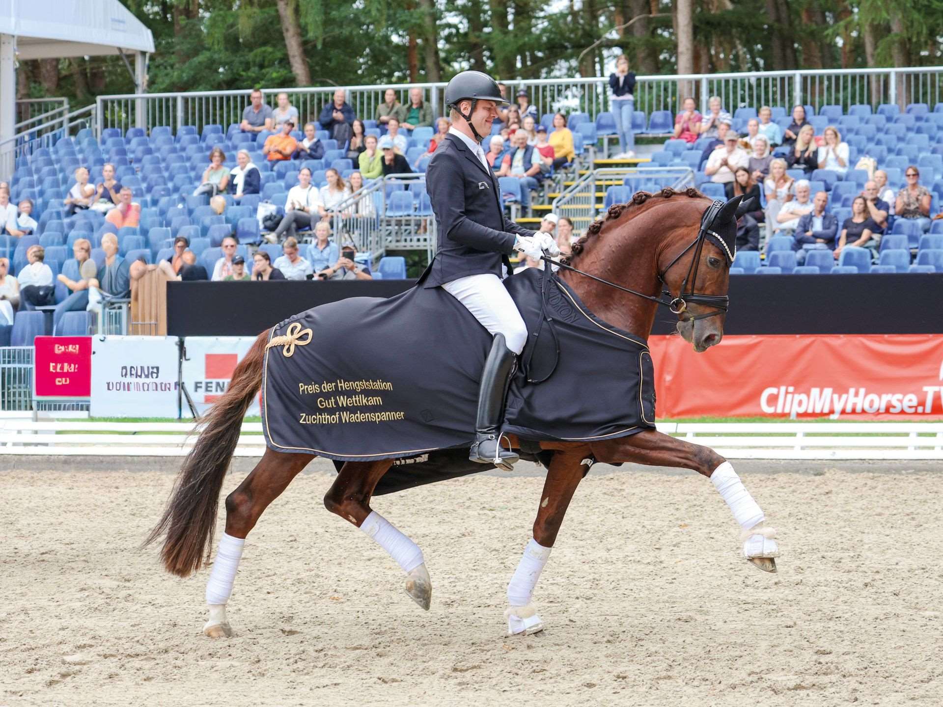 Viva Vitalis Stallion